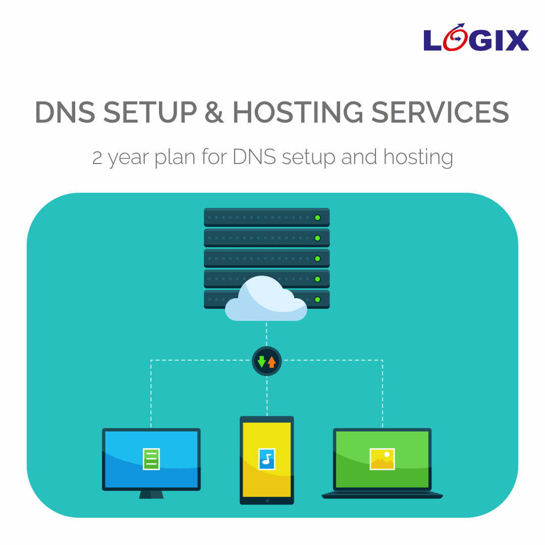 DNS Setup 2 Year